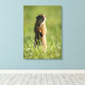 ゴッハー キャンバスプリント (インサイチュ (ウッドフロア))