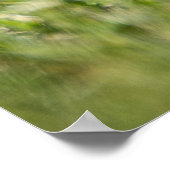 ゴッハー ポスター (角)