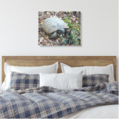 ゴッファーカメ朝の散歩 キャンバスプリント (インサイチュ (寝室))