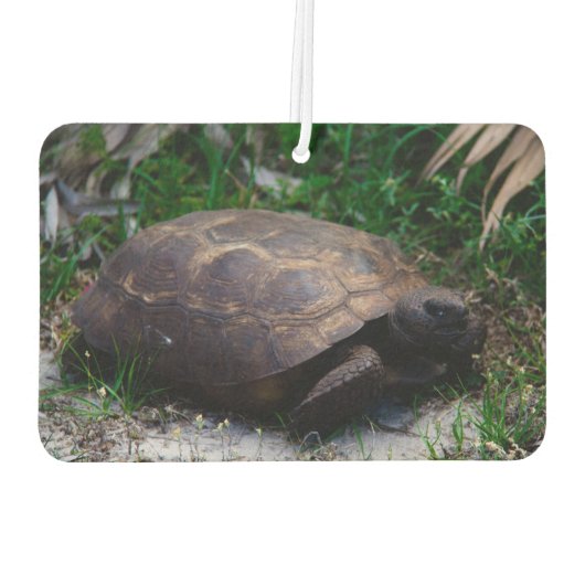 ゴッファーカメ カーエアーフレッシュナー (裏面)