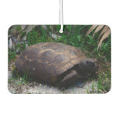 ゴッファーカメ カーエアーフレッシュナー (正面)