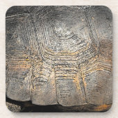 ゴッファーストルトシェルデザイン コースター (正面)