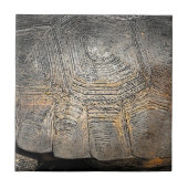 ゴッファーストルトシェルデザイン タイル (正面)