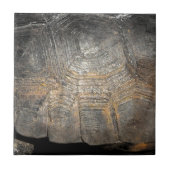 ゴッファーストルトシェル タイル (正面)