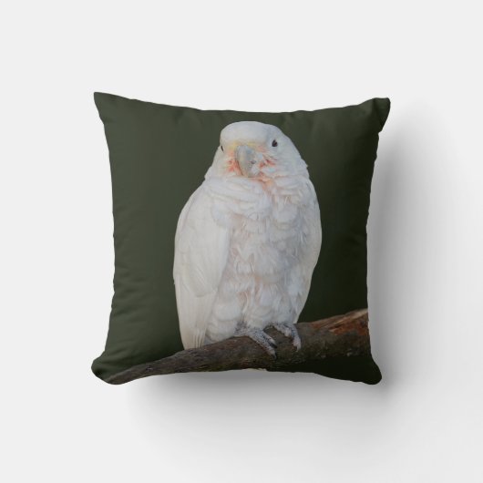 ゴッフィー枕 クッション (正面)