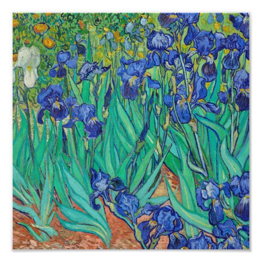 ゴッホのアイリス（1889） フォトプリント            (正面)
