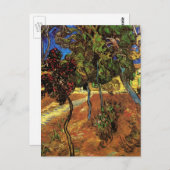 ゴッホの庭の木、セントポール病院 ポストカード (正面/裏面)