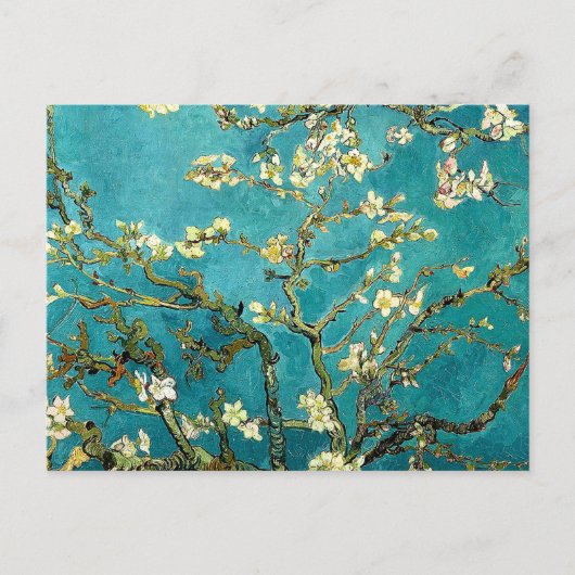ゴッホの桜の花のクラシック印象派 ポストカード (正面)