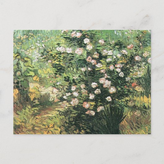 ゴッホの薔薇の花 ポストカード (正面)