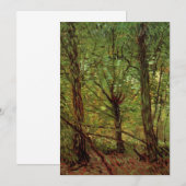 ゴッホの「樹木と下草」 (正面/裏面)