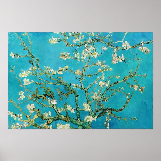 ゴッホ アルモンドの花の絵 ポスター (正面)