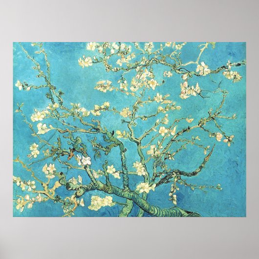 ゴッホ 花咲くアーモンドの木 ポスター (正面)