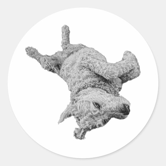 ゴッボールエネルギー ラウンドシール (正面)