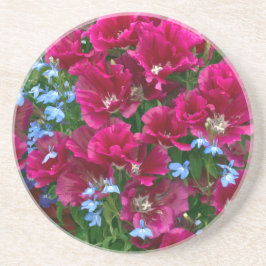 ゴデティアとロベリア コースター