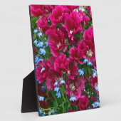 ゴデティアとロベリア フォトプラーク (側面)