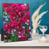 ゴデティアとロベリア フォトプラーク (側面)