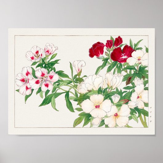 ゴデティアバイタニガミ湖南 ポスター (正面)