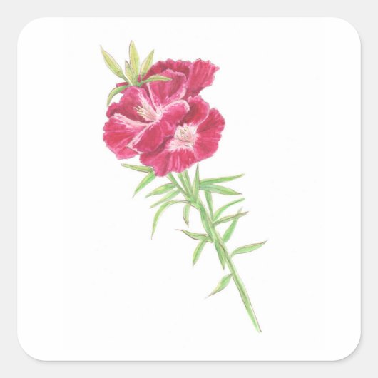 ゴデティア スクエアシール (正面)