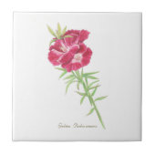 ゴデティア タイル (正面)