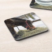 ゴトランドからの最初に原産の馬 コースター (左側)