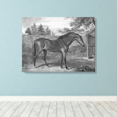 ゴドルフィンアラビア馬 キャンバスプリント (インサイチュ (ウッドフロア))