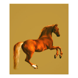 ゴドルフィン・アラビアの孫 フォトプリント