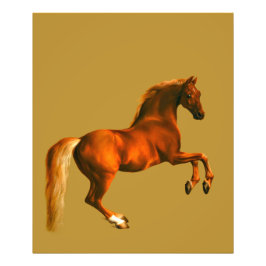 ゴドルフィン・アラビアの孫 フォトプリント