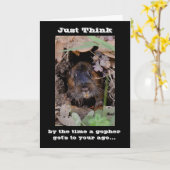 ゴファー誕生日 カード (黄色い花)