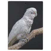 ゴフィンのCockatooクリップボード クリップボード (裏面)