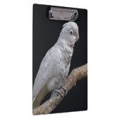 ゴフィンのCockatooクリップボード クリップボード (右)