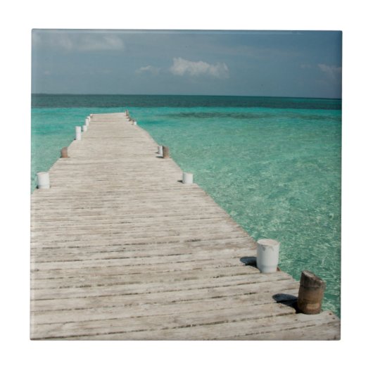 ゴフケイア人気があるバリアリーフ島 タイル (正面)