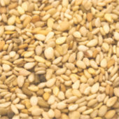 ゴマの種 シール (正面)