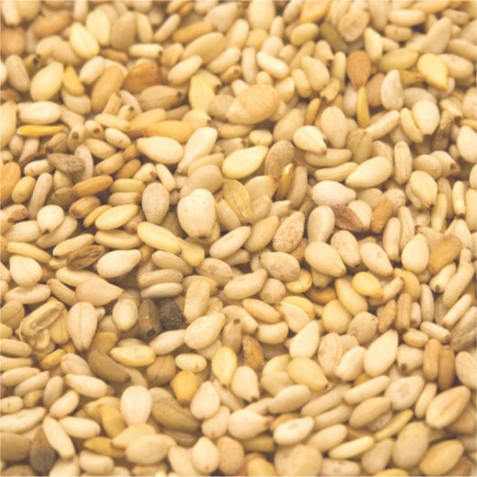 ゴマの種 シール (正面)