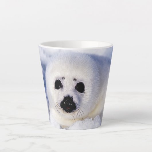 ゴマフアザラシの子供の肖像 カフェラテマグ (正面)