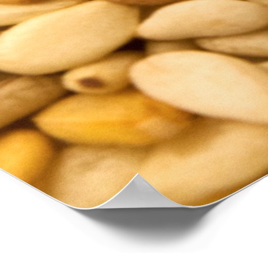 ゴマ種子 ポスター (角)