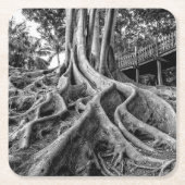 ゴムの塊根 スクエアペーパーコースター (正面)