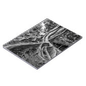 ゴムの塊根 ノートブック (左側)