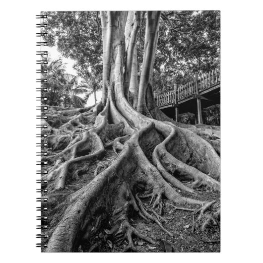 ゴムの塊根 ノートブック (正面)