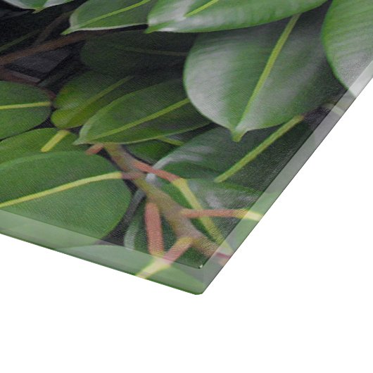 ゴムの木のクローズアップ カッティングボード (角)