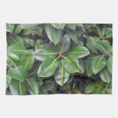 ゴムの木のクローズアップ キッチンタオル (横)