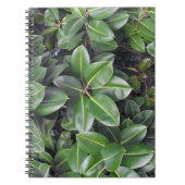 ゴムの木のクローズアップ ノートブック (正面)