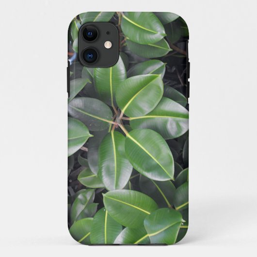 ゴムの木のクローズアップ Case-Mate iPhoneケース (裏面)
