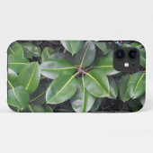 ゴムの木のクローズアップ Case-Mate iPhoneケース (裏面(横))