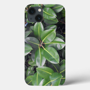 ゴムの木のクローズアップ iPhone 13ケース