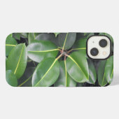 ゴムの木のクローズアップ iPhoneケース (裏面横)