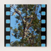 ゴムの木の中のオーストラリア産の野生のコカトス ジグソーパズル (横)