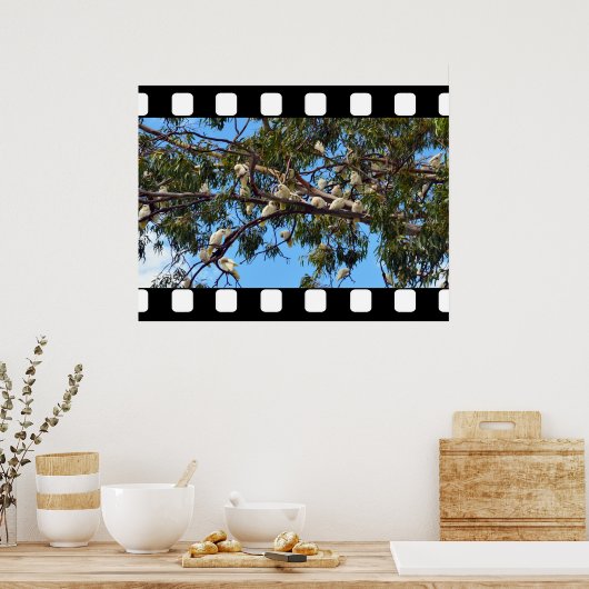 ゴムの木の中のオーストラリア産の野生のコカトス ポスター (キッチン)