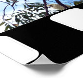 ゴムの木の中のオーストラリア産の野生のコカトス ポスター (角)