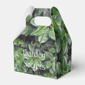 ゴムの木の葉パターン フェイバーボックス (裏面サイド)