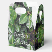 ゴムの木の葉パターン フェイバーボックス (オープン)